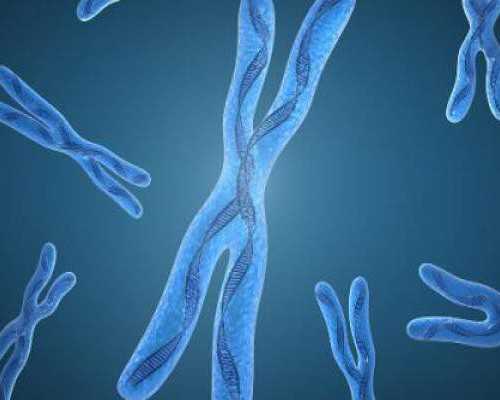 浙江供卵公司,供卵网站