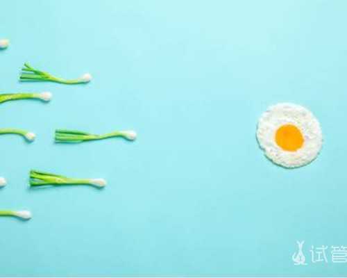 温州供卵价格,温州供卵