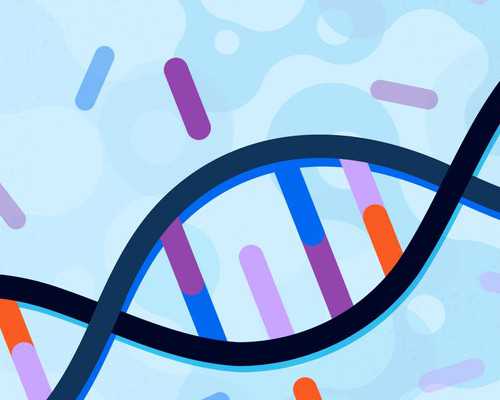 供卵是新鲜的吗,供卵流程