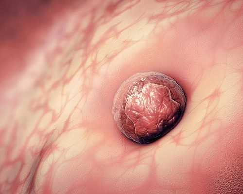 泰国供卵安全吗,湖北供卵