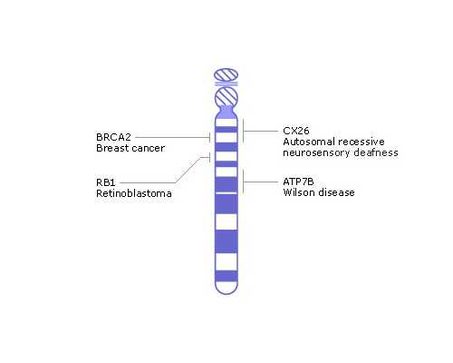 2025湖南哪家医院做供卵试管不用排队?私立供卵试管不排队医院名单限时发布