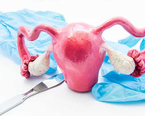 试管捐卵_试管捐卵价格,泰国试管婴儿生男孩附试管费用