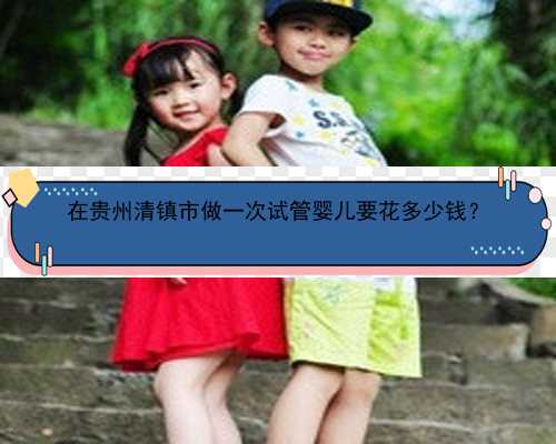 在贵州清镇市做一次试管婴儿要花多少钱